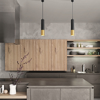 Светильник подвесной Eurosvet Tony DLN108 GU10 черный/золото 40Вт GU10