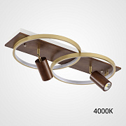 Светильник потолочный ImperiumLOFT Didrika 223843-23 58Вт LED