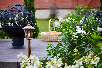 Светильник ландшафтный Elektrostandard Virgo a031929 GLXT-1450F 60Вт IP44 E27 чёрное золото