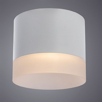 Светильник потолочный Arte Lamp CASTOR A5554PL-1WH 15Вт GX53