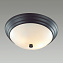Светильник настенно-потолочный Lumion KAYLA 5263/2C 120Вт E27