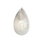 Бра Odeon CABOCHON 5050/1W 40Вт Е14