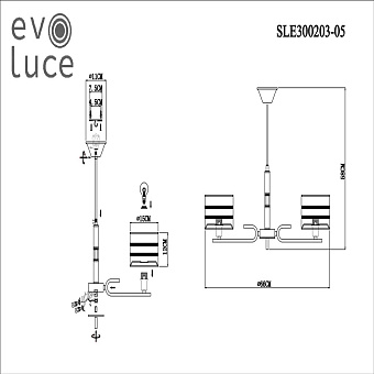 Светильник потолочный Evoluce ALMESE SLE300203-05 200Вт E14