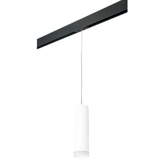 Трековый светильник Lightstar Rullo PRORP649680 50Вт GU10 белый для однофазного трека