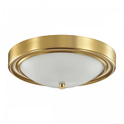 Светильник настенно-потолочный Lumion NINA 5259/2C 120Вт E27