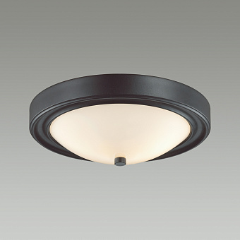 Светильник настенно-потолочный Lumion NINA 5260/2C 120Вт E27