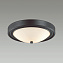 Светильник настенно-потолочный Lumion NINA 5260/2C 120Вт E27
