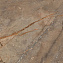 Полированный керамогранит Global Tile Bersa_GT GT60605604PR коричневый 60х60см 1,44кв.м.