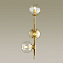 Бра Odeon PENDANT 4799/3W 180Вт E14