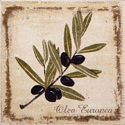 Декор KERAMA MARAZZI Прованс A1912\1221H ветка оливы 9,8х9,8см 0,01кв.м.