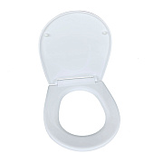 Сиденье для унитаза IDDIS NE01PS0i31 с микролифтом