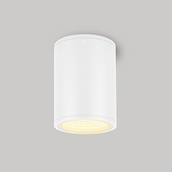 Светильник фасадный Arlight Forma 037261 12Вт IP54 LED белый