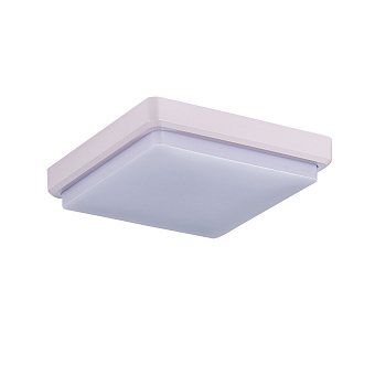Светильник потолочный Evoluce TADDIO SLE200212-01 20Вт LED