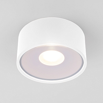 Светильник фасадный Elektrostandard Light a057471 35141/H 12Вт IP65 LED белый