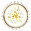 Люстра подвесная ST Luce Aversa SL1352.203.09 360Вт 9 лампочек E14