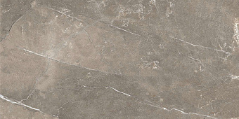 Настенная плитка Global Tile Siluet GT GT122VG коричневый 25х50см 1,375кв.м. глянцевая