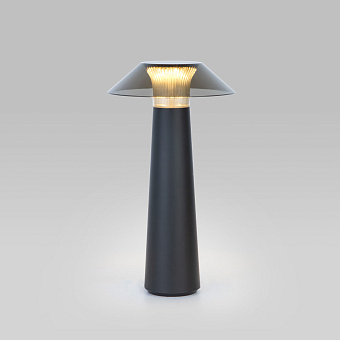 Настольная лампа Elektrostandard Future TL70200 4Вт LED