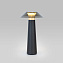 Настольная лампа Elektrostandard Future TL70200 4Вт LED
