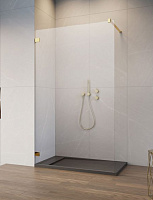 Боковая стенка ESSENZA PRO GOLD Walk-in 50*200 см 10103050-09-01 золото/прозрачное RADAWAY