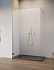 Боковая стенка ESSENZA PRO GOLD Walk-in 50*200 см 10103050-09-01 золото/прозрачное RADAWAY
