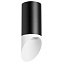 Светильник потолочный Lightstar RULLO R43736 50Вт GU10