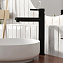 Смеситель для раковины WASSERKRAFT Gollach 3300 3303H чёрный