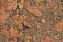 Настенная пробка CORKSTYLE WALL DESIGN Vico Grey VICO GREY 600х300х3мм 1,98кв.м