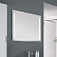 Зеркало GEBERIT Option Basic 500.588.00.1 65х80см с подсветкой