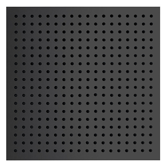 Верхний душ RGW Shower Panels 21148225-04 SP-82B чёрный