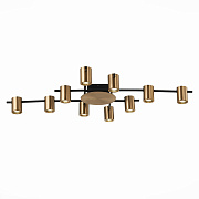 Люстра потолочная ST Luce VEROLI SL1207.402.10 70Вт 10 лампочек GU10