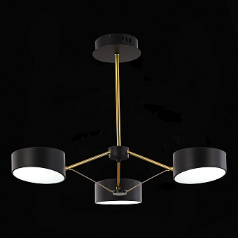 Светильник потолочный Evoluce VALLE SLE6005-402-03 30Вт LED