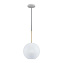 Светильник подвесной Loft It Bolle 2030-P1 40Вт E27