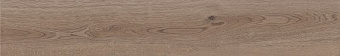 Матовый керамогранит ABK Poetry Wood PF60010060 Oak Nat Rett 120х20см 1,44кв.м.