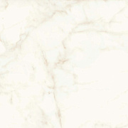 Неполированный керамогранит Atlas Concord Италия Marvel Shine A4Q4 Calacatta Delicato Matt 120х120см 2,88кв.м.