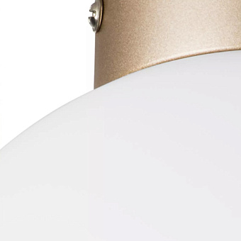 Светильник настенно-потолочный Lightstar Globo 812023 40Вт E14