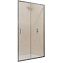 Душевая дверь RGW Passage 41081411-11 195х110см стекло прозрачное