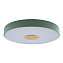 Светильник потолочный Loft It Axel 10003/24 Green 24Вт LED