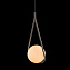 Светильник подвесной Loft It Glob LOFT2599-B 40Вт E27