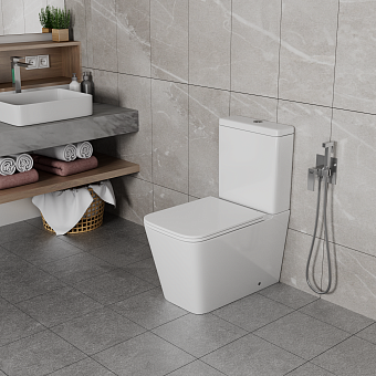 Унитаз напольный D&K DT1437016 безободковый с микролифтом