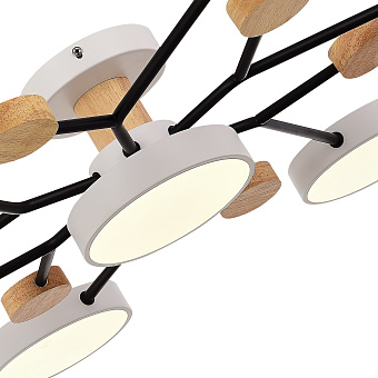 Светильник потолочный Evoluce FAEMA SLE6006-502-07 84Вт LED