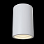 Светильник точечный накладной Maytoni Conik gyps C003CW-01W 30Вт GU10