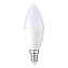 Светодиодная лампа ST Luce ST9100.148.05 E14 5Вт 2700/6500К