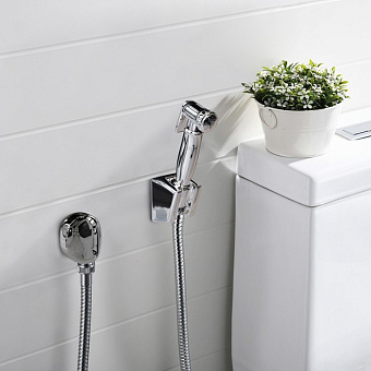 Ручной душ Paini 53CR174KIT-shower хром