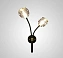 Светильник настенный ImperiumLOFT Rh 230071-23 80Вт G9