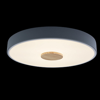 Светильник потолочный Loft It Axel 10003/24 Grey 24Вт LED