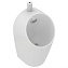 Писсуар IDEAL STANDARD SPHERO E189501 с внутренним подводом воды