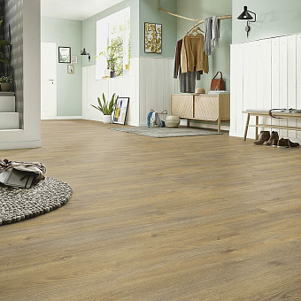Ламинат KRONOTEX Exquisit Plus ДУБ ЭЛЬБА ПРОРОДНЫЙ D6009х244х8мм 32 класс 2,694кв.м