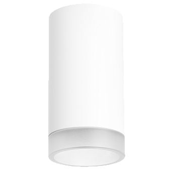 Светильник настенно-потолочный Lightstar Rullo R43630 50Вт GU10