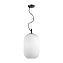 Светильник подвесной Odeon PENDANT 4752/1 60Вт E27