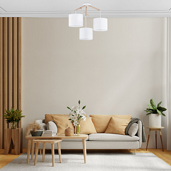 Светильник потолочный TK Lighting Albero 6553 60Вт E27